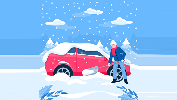 Motor Insurance